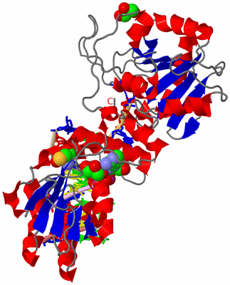 Image Asym./Biol. Unit