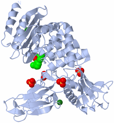 Image Biological Unit 1