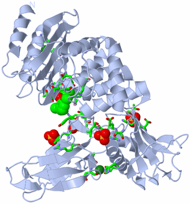 Image Biol. Unit 1 - sites