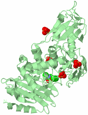 Image Biological Unit 2