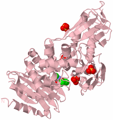 Image Biological Unit 3