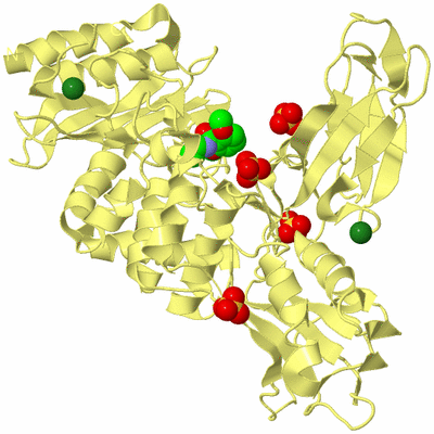 Image Biological Unit 4