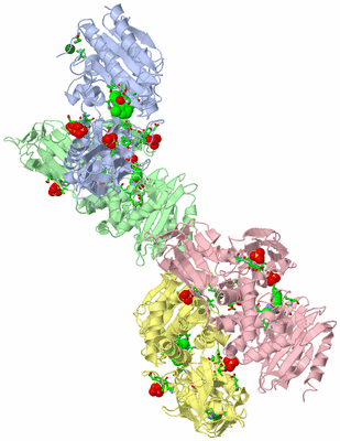 Image Asym. Unit - sites