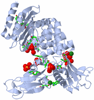 Image Biol. Unit 1 - sites