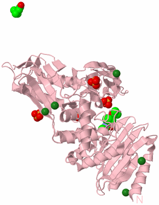 Image Biological Unit 3