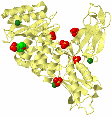 Image Biological Unit 4