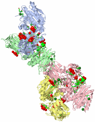 Image Asym. Unit - sites