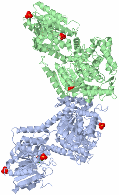 Image Asym./Biol. Unit