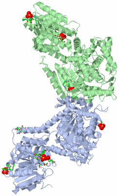 Image Asym./Biol. Unit - sites