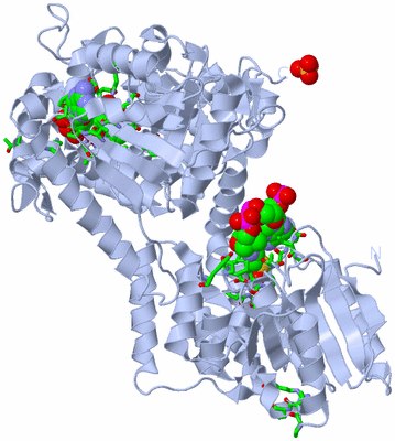 Image Biol. Unit 1 - sites