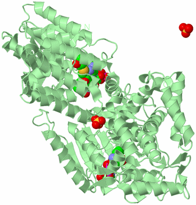 Image Biological Unit 2