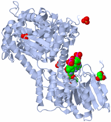 Image Biological Unit 1