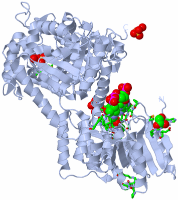 Image Biol. Unit 1 - sites