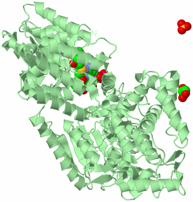 Image Biological Unit 2