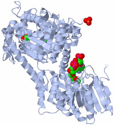 Image Biological Unit 1