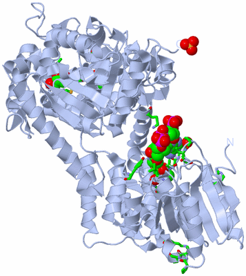 Image Biol. Unit 1 - sites