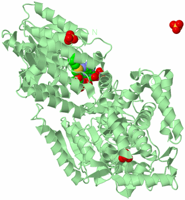 Image Biological Unit 2