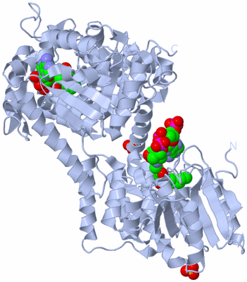 Image Biological Unit 1