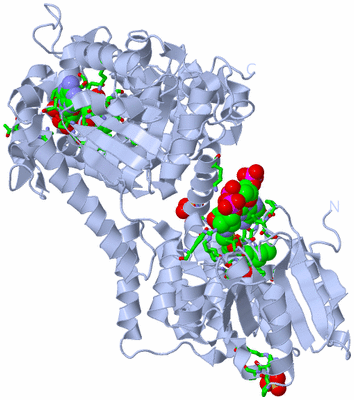 Image Biol. Unit 1 - sites