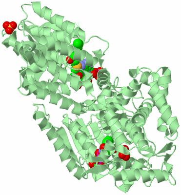 Image Biological Unit 2