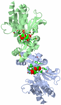 Image Asym./Biol. Unit - sites