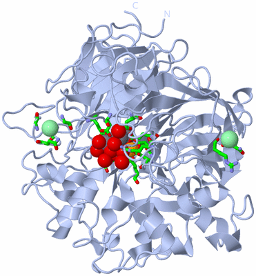 Image Biol. Unit 1 - sites