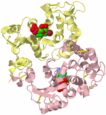 Image Biological Unit 1