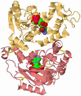 Image Biological Unit 2