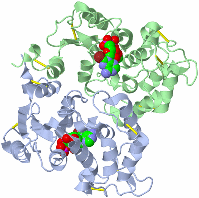 Image Biological Unit 4