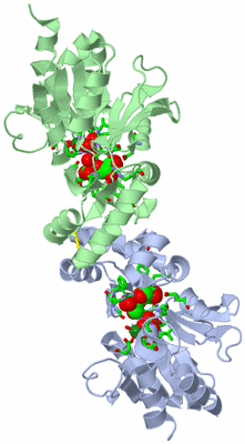 Image Asym./Biol. Unit - sites