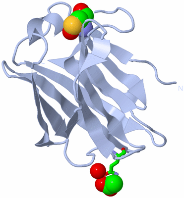 Image Biol. Unit 1 - sites