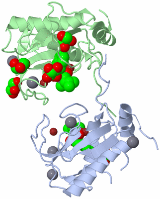 Image Biological Unit 2