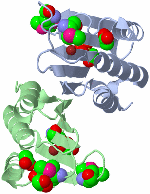 Image Biological Unit 1