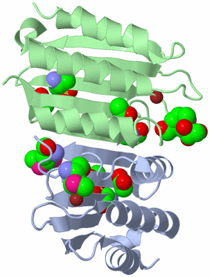 Image Biological Unit 2