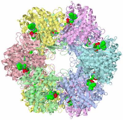 Image Biological Unit 1