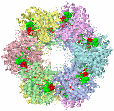 Image Biol. Unit 1 - sites