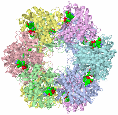 Image Biological Unit 1