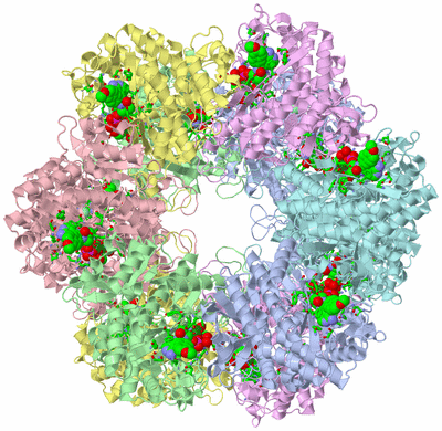 Image Biol. Unit 1 - sites