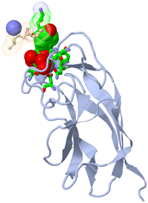 Image Biol. Unit 1 - sites