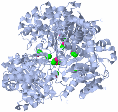 Image Biological Unit 1