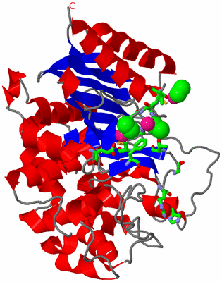 Image Asym. Unit - sites