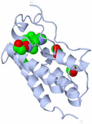 Image Biological Unit 1