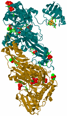 Image Asym./Biol. Unit - sites