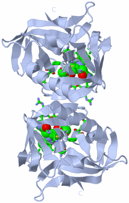 Image Biol. Unit 1 - sites