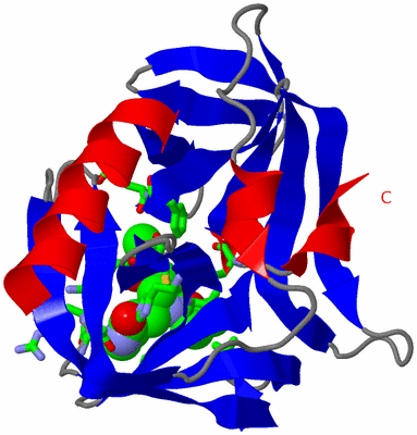 Image Asym. Unit - sites