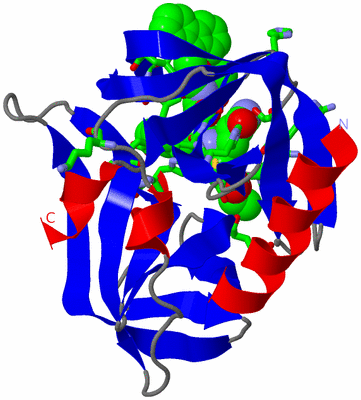 Image Asym. Unit - sites