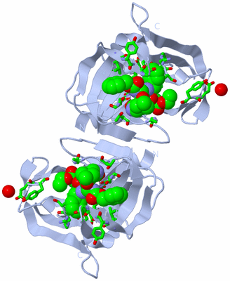 Image Biol. Unit 1 - sites