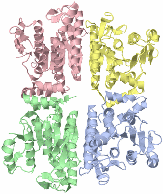 Image Asym./Biol. Unit