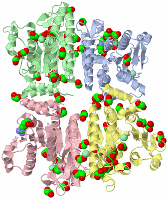 Image Asym./Biol. Unit