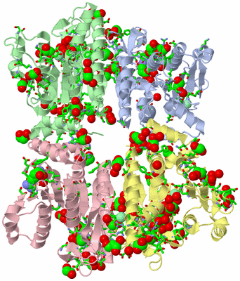 Image Asym./Biol. Unit - sites